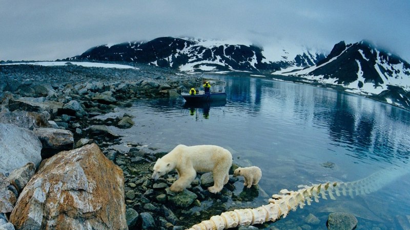 Карское море