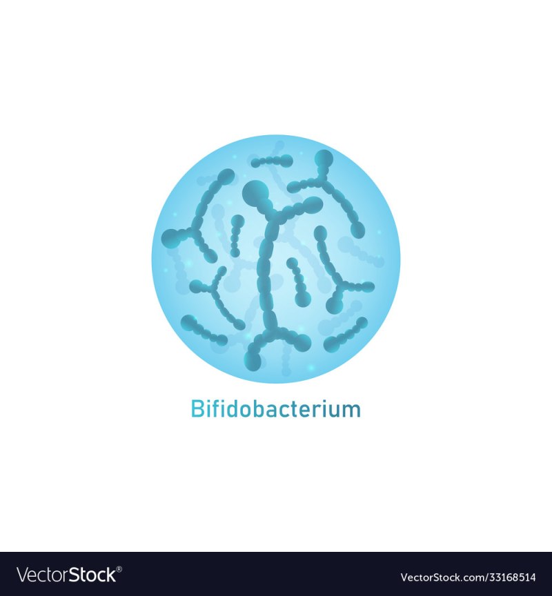 Бифидобактерии рисунок