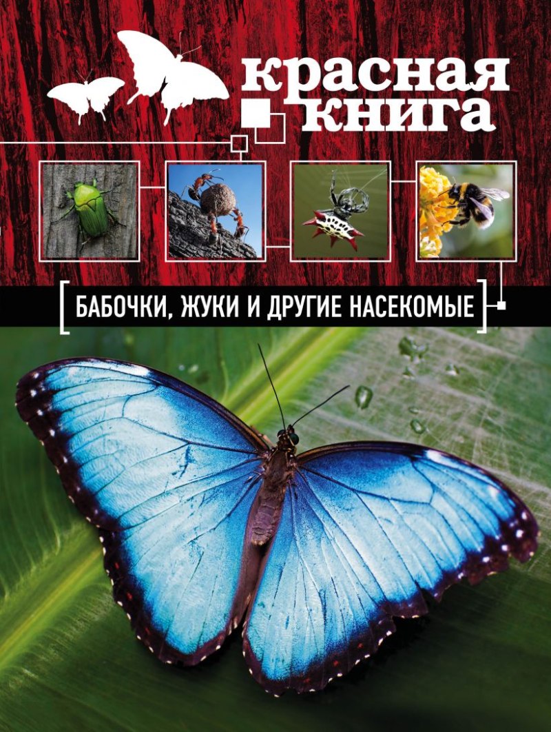 Жуки и бабочки Роббинс