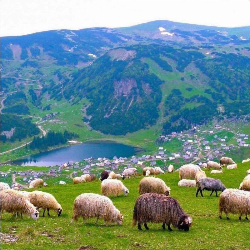 Паданская равнина Италия