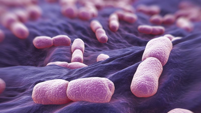 Listeria monocytogenes