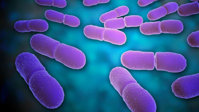 Listeria monocytogenes заболевание