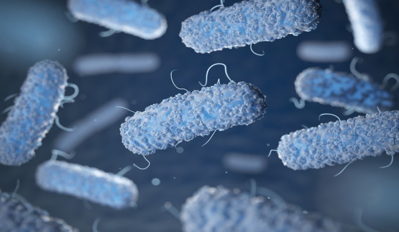 Listeria monocytogenes микробиология