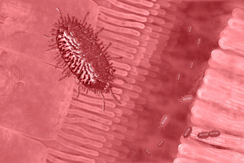 Коклюш Bordetella pertussis (бордетелла пертуссис)