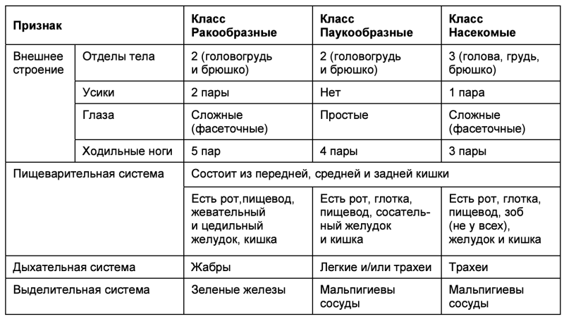 Сравнительная характеристика типа Членистоногие таблица 7 класс